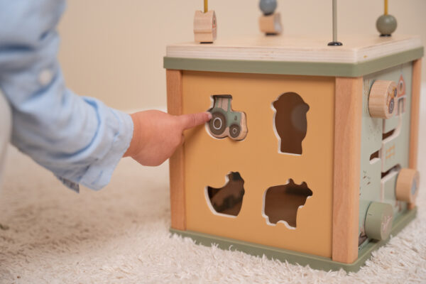 Activity Cube Little Farm FSC